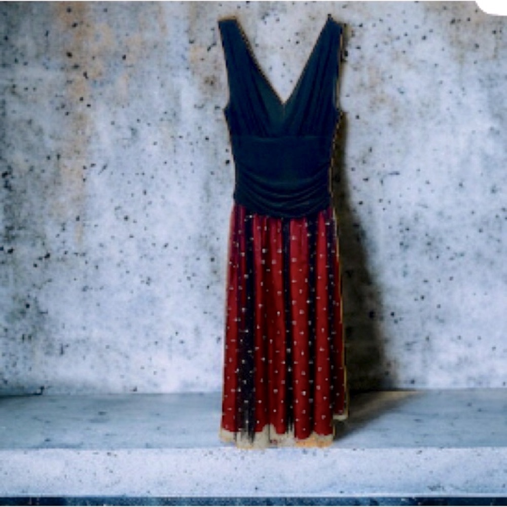 Dress barn fashion event sparkling gorgeous dress size 4
